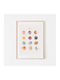 Mushie Educational Kids Poster Space Large 70x50cm