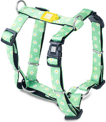 Max & Molly Margarita Hamuri Pentru Câini Verde Mediu 20mm x 53-69cm