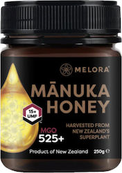 Melora Μέλι Manuka UMF15+/MGO 525+ 250gr