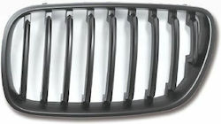 Dekorative Auto Maske BMW X3 (E83) / X1 / X3 / X5 / X6