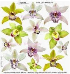 Star Tissue paper Decoupage