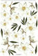 Sospeso Trasparente Papier Decoupage