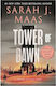 Throne of Glass, 6: Tower of Dawn