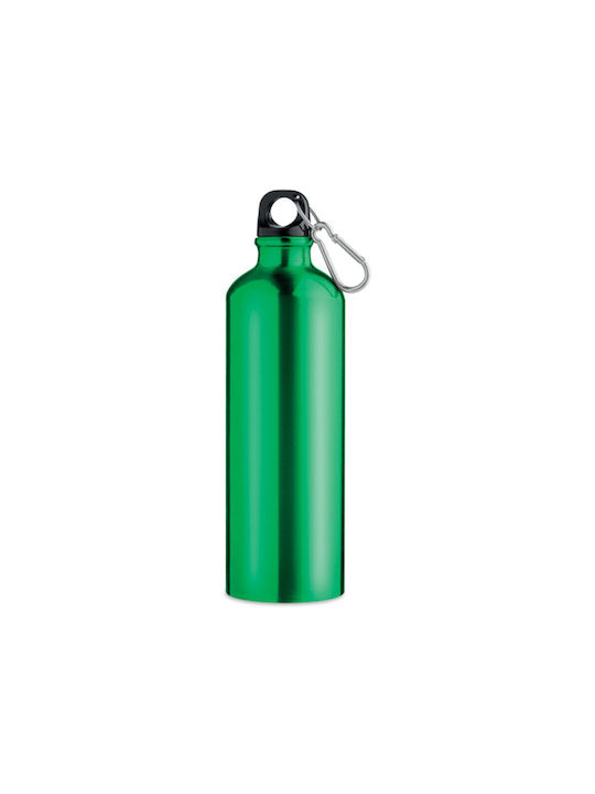 Αλουμίνιο μπουκάλι Big Moss 750ml - Πράσινο