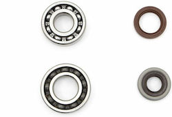 Naraku Crankshaft Bearing