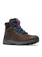 Columbia Landroamer Explorer Men's Hiking Waterproof Brown Boots