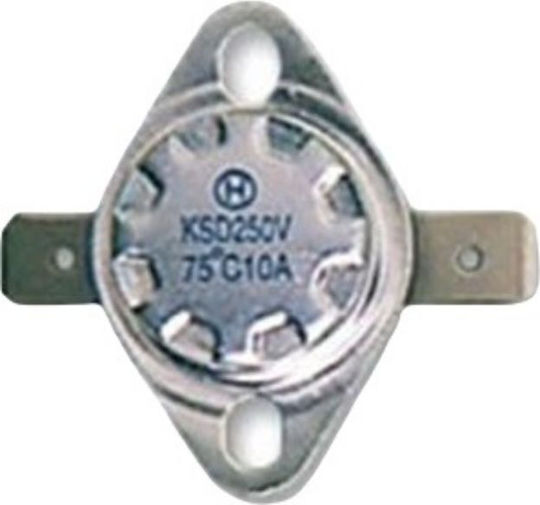 Hol Thermostat Industrial Type 03.050.0023