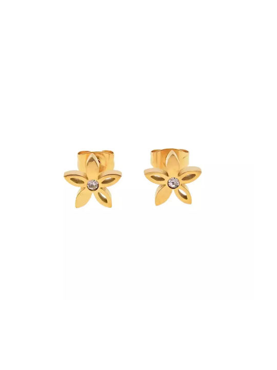 Bode Earrings made of Steel Gold Plated