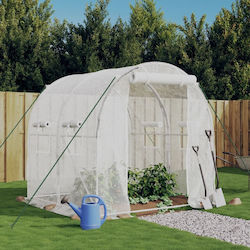 vidaXL 364075 Greenhouse Tunnel 2x2x2m