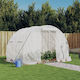 vidaXL 364079 Greenhouse Tunnel 3x2x2m