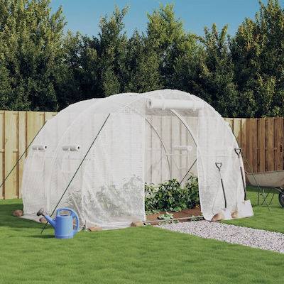 vidaXL 364079 Greenhouse Tunnel with Metal Frame 3x2x2m