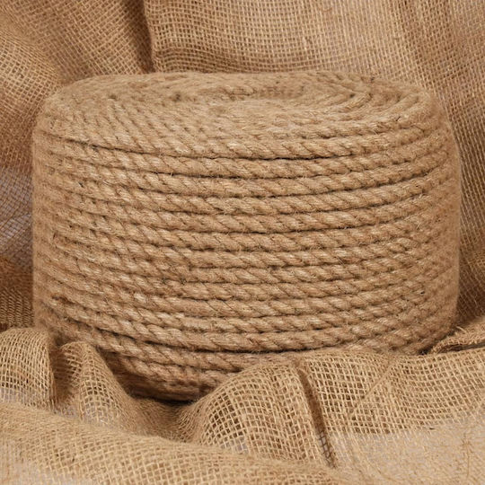 vidaXL Rope with Diameter 10mm and Length 25m