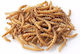 Dried Mealworms 10630100 20gr