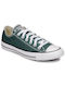 Converse Chuck Taylor All Star Fall Tone Sneakers Grün