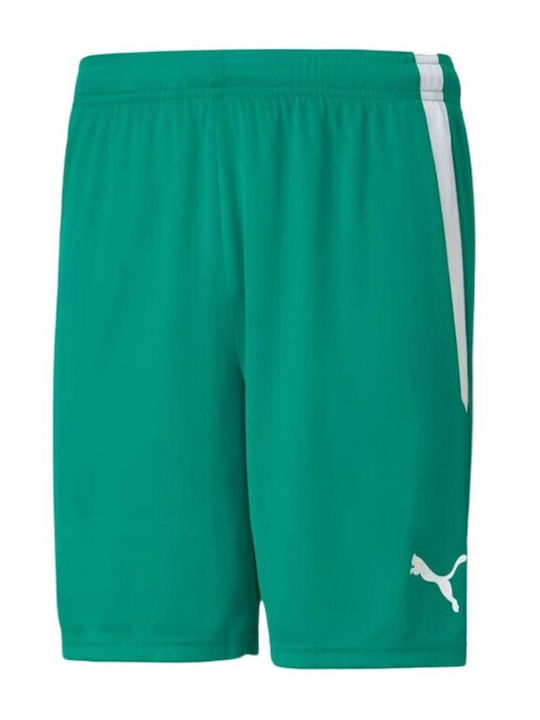 PUMA Teamliga Sportliche Herrenshorts Grün