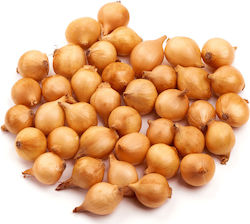 Stew Dry Onions 1500gr 2104071 Stew Dry Onions 1500gr 2104071