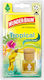 Guard Hängendes Autoduftöl Tropical Tropische Früchte 1Stück
