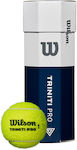 Wilson Triniti Mingi Tenis 3buc