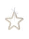 Iliadis Christmas Star Ornament White