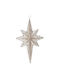 Iliadis Christmas Star Ornament Ecru