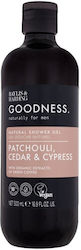 Baylis & Harding Goodness 500ml