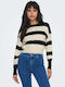Only Women's Long Sleeve Crop Sweater Striped Multicolour
