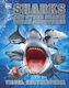Sharks and Other Deadly Ocean Creatures