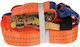 Damesa Auto-Gepäckgurt 600x3.5cm mit Ratsche