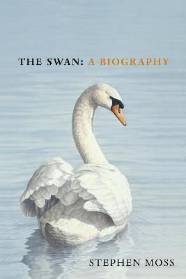 The Swan , Eine Biographie The Swan , Eine Biographie