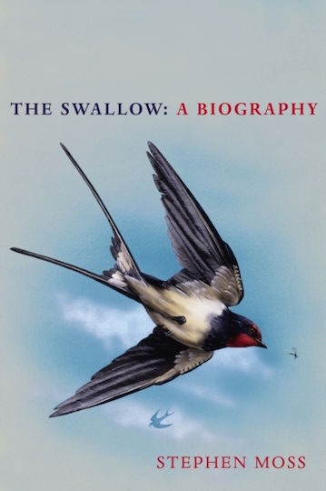 The Swallow , Eine Biographie The Swallow , Eine Biographie