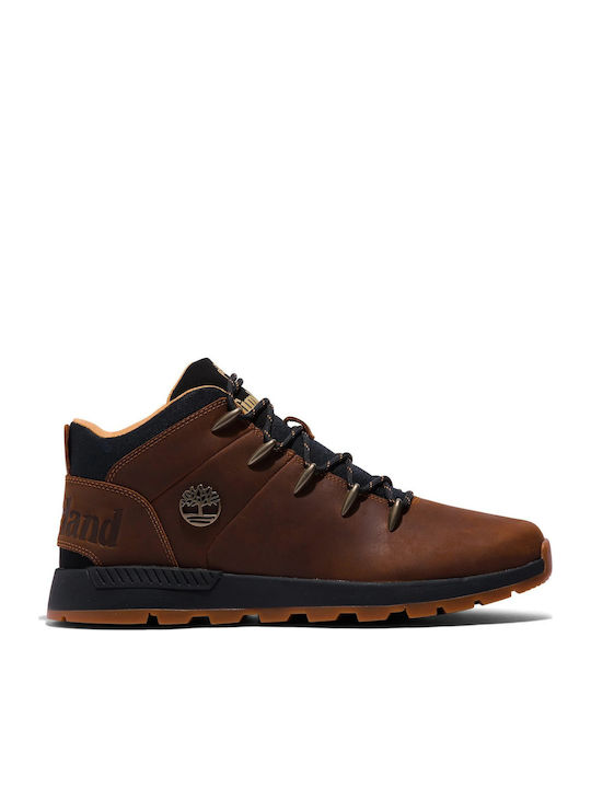 Timberland Sprint Trekker Men's Hiking Brown