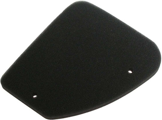 MIW Filtru de aer pentru motociclete Peugeot Viteză de luptă / Trekker