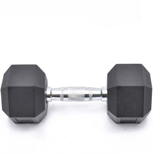Rubber Hexagon Dumbbell 1 x 10kg