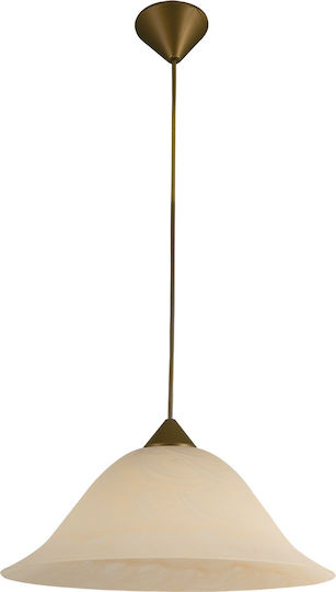 ARlight Pendant Light Brown with Socket E27 28x102cm