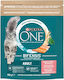 Purina One One Dry Food Gluten-Free for Adult Cats with Salmon 0.8kg