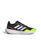 Adidas Runfalcon 3.0 Bărbați Pantofi sport Alergare Negre