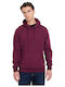 Funky Buddha Sweatshirt with Hood Grape