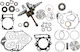 Vertex Arbori Cotiți Motor Pentru Motocicletă