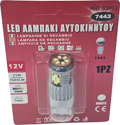 Sabrina Λάμπα LED Ψυχρό Λευκό Sabrina Λάμπα LED Ψυχρό Λευκό