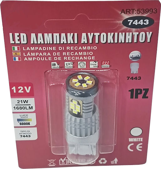 Sabrina Λάμπα LED 6000K Ψυχρό Λευκό 12V 21W 1τμχ