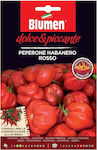 Blumen Habanero Rosso καυτερή Seeds Peppers 15pcs