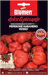 Blumen Habanero Rosso καυτερή Samen Paprika 15Stück