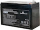 Powertech T1 Μπαταρία UPS με Χωρητικότητα 7Ah και Τάση 12V 1τμχ