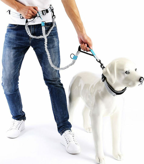 Animal Dog Leash/Lead Strap in White color