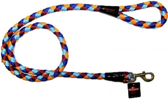 Pet Interest Dog Leash/Lead Strap Spring Rope 1.2m x 1cm