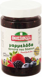 Jam Forest Fruits Omospondia (360g) Jam Forest Fruits Omospondia (360g)