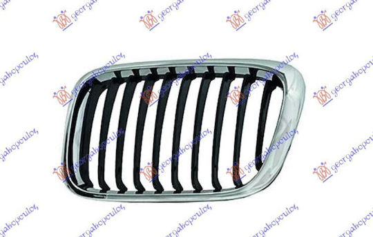 Prasco Car Front Mask Decoration