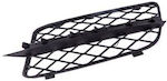 Prasco Bumper net Car for BMW X5 (E70)