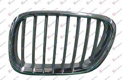 Prasco Dekorative Auto Maske BMW X5 (E53)