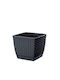 Prosperplast DRLK165 Übertopf Rattan Gray mit Gestell 16.5x16.5x14.2εκ.